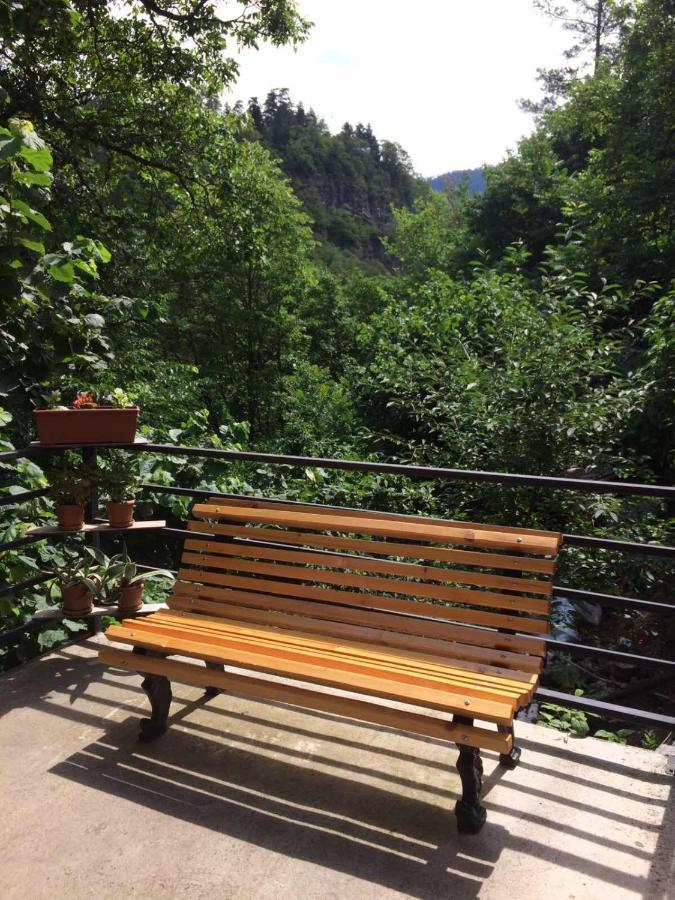 Borjomi Veranda Luaran gambar